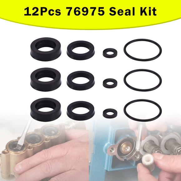 12Pcs 76975 Seal Kit For Cat Pump 4DNX Pumps 4DNX25GSI 4DNX27GSI Seal Kit