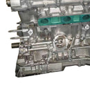 LEXUS RX300 AWD 3.0L VVTI V6 4X4 Brand New Engine Motor Block 1MZ-FE-6