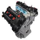 Kia Sedona 3.3L 6-Cylinder V6 2015-2018 Brand New Engine Motor Block G6DH-11