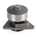 Wasserpumpe 3923568 3929612 3285323 3800974 für Cummins 6C C8.3 6CT8.3 6CTA8.3-3