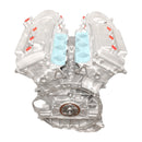 2005-2015 Toyota Tacoma 05-09 Tundra Brand New Engine 1GR-FE 4.0L 6-Cylinder-11