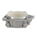 VERSCHLEISSBAND-IMPELLERGEHÄUSE passend für YAMAHA GP GPR 1200 1300 1200R 1300R-11