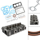 Complete Cylinder Head+Gasket For Kubota D1105 RTV1100 RTV1100CW9 RTV1140CPX-4